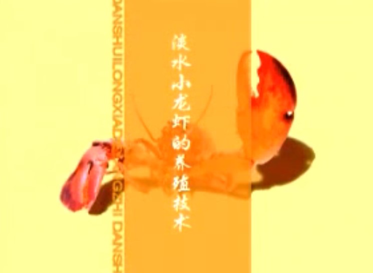四种小龙虾养殖技术+养殖资料！